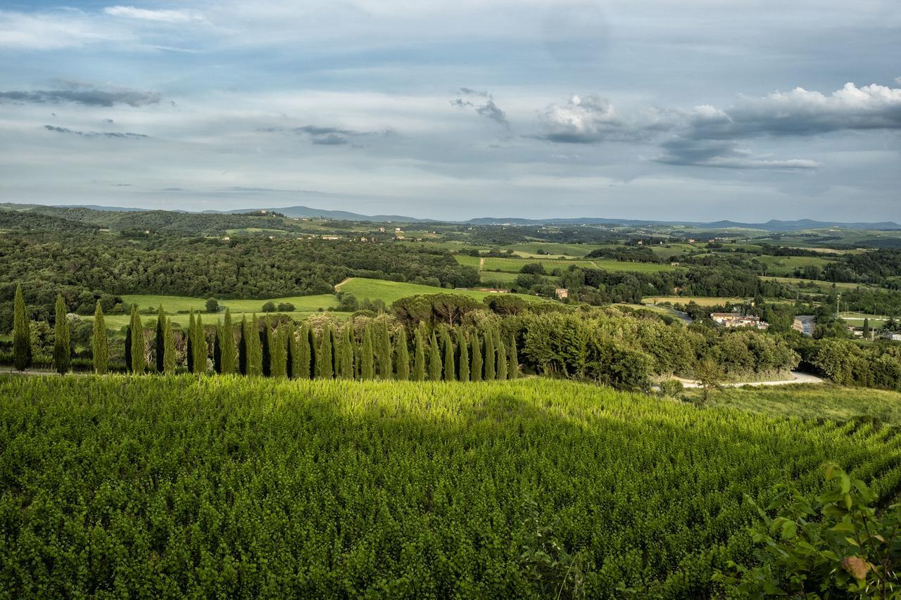 Villa Borgo Argiano à Castelnuovo Berardenga Extérieur photo